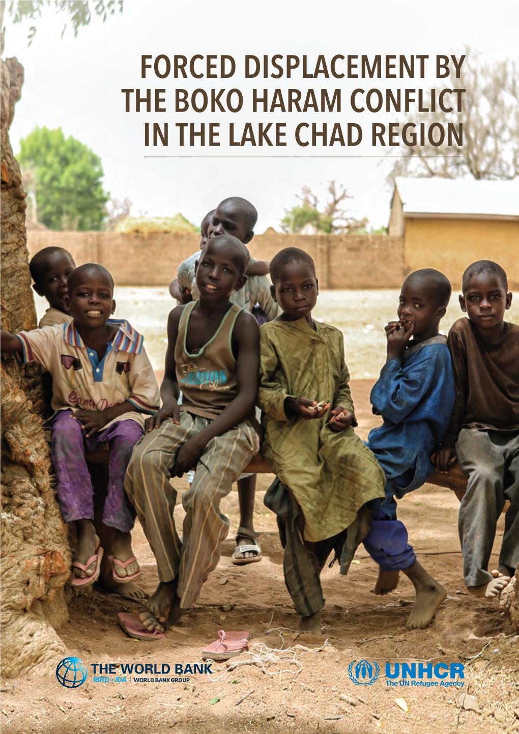 Forced Displacement by the Boko Haram Conflict in the Lake Chad Region