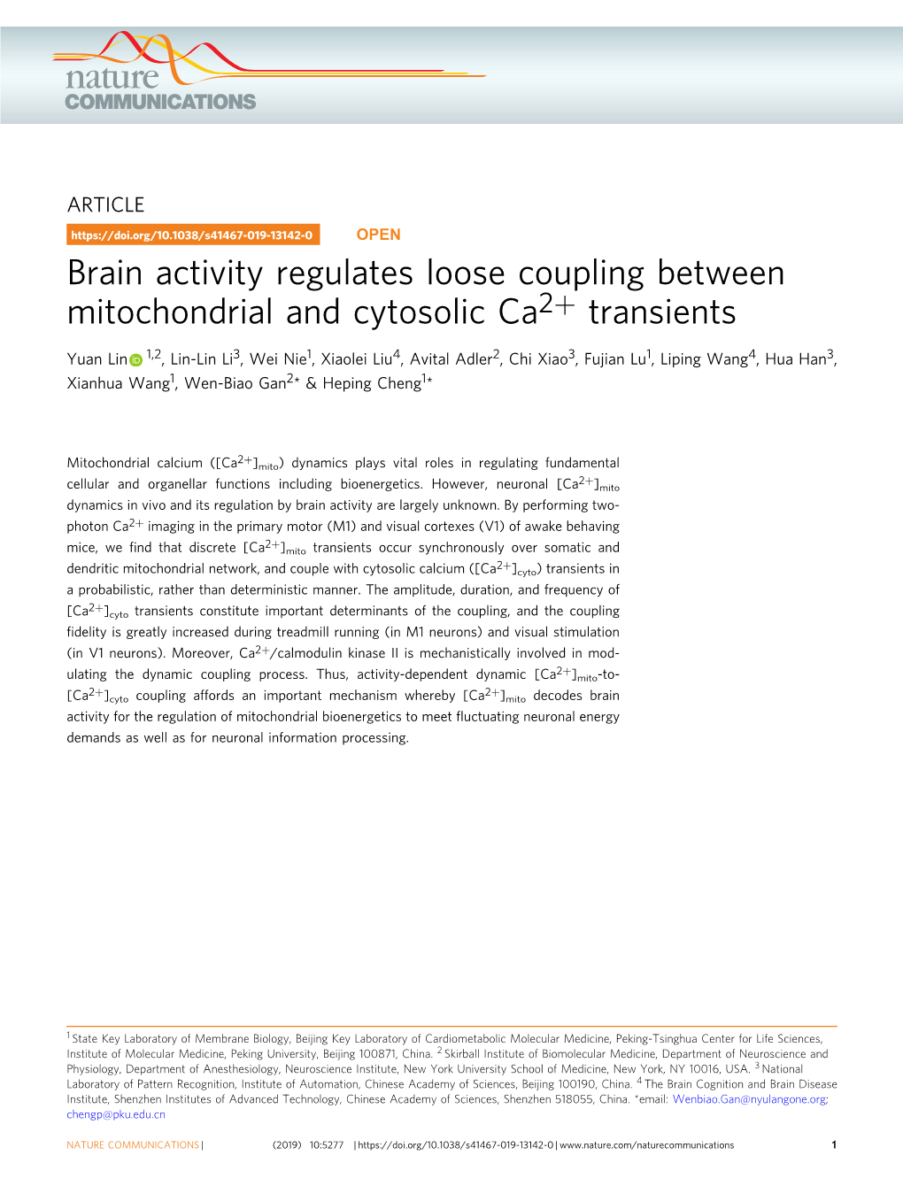 Brain Activity Regulates Loose Coupling Between Mitochondrial and Cytosolic Ca2+ Transients