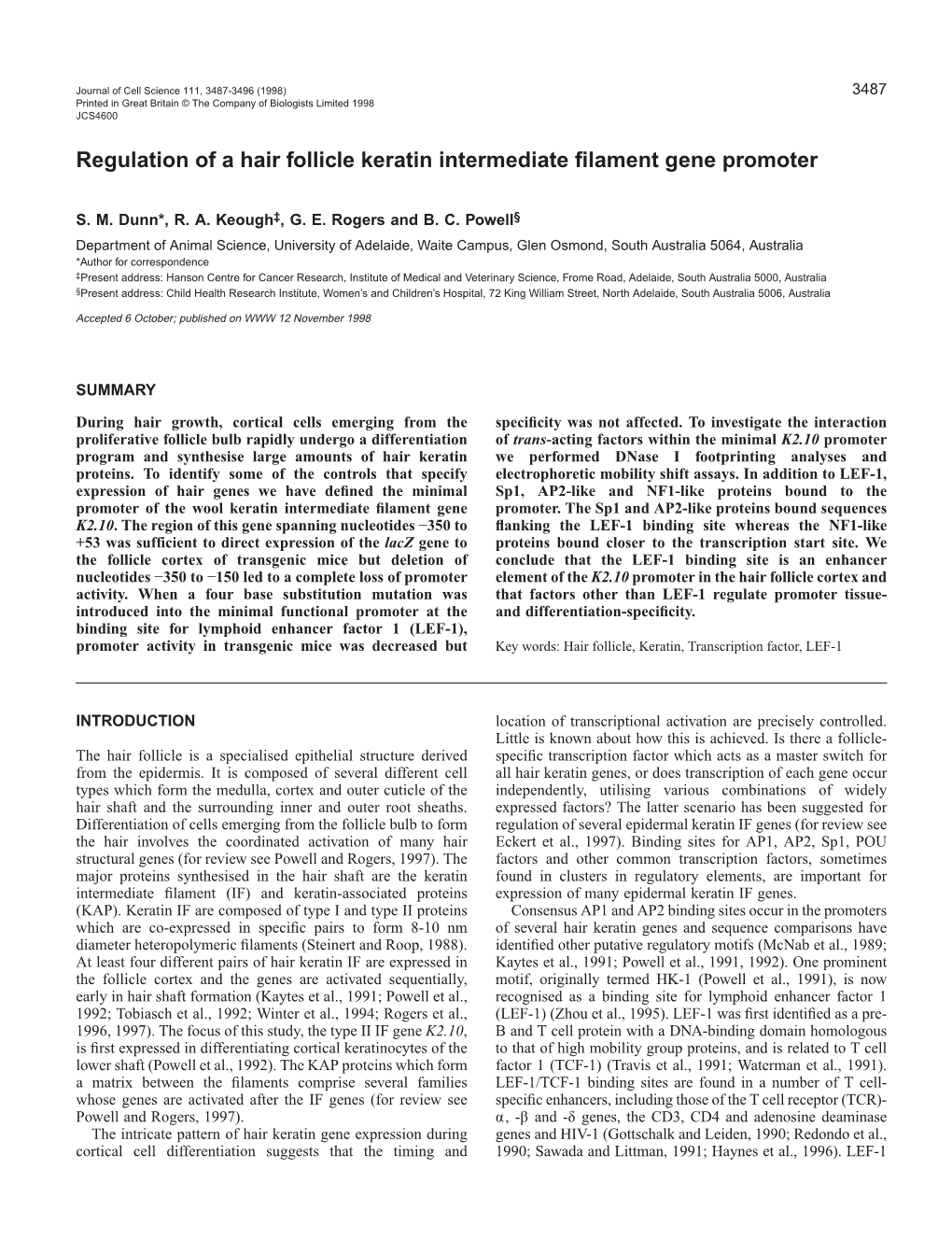 Regulation of a Hair Follicle Keratin Intermediate Filament Gene Promoter