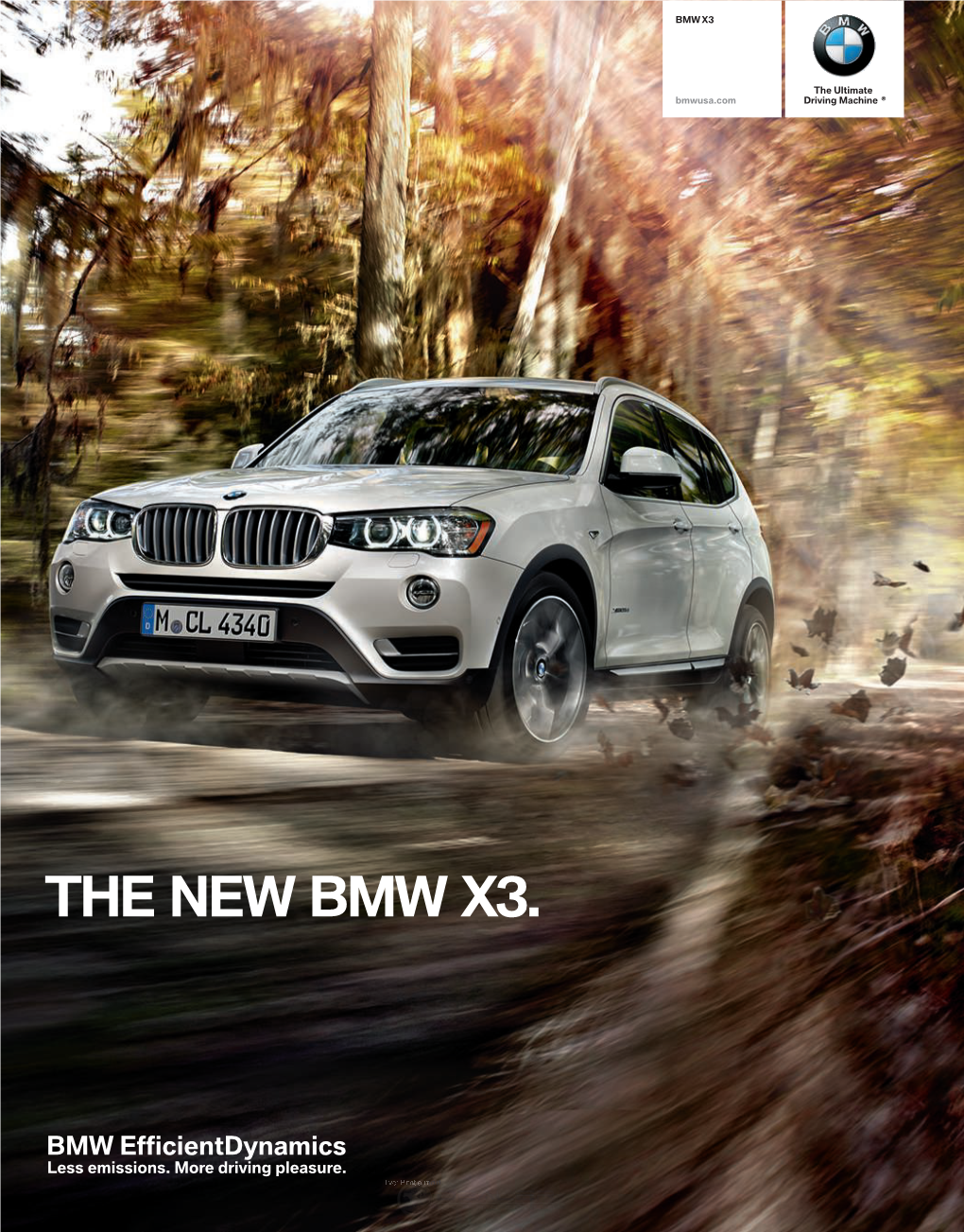 The New Bmw X