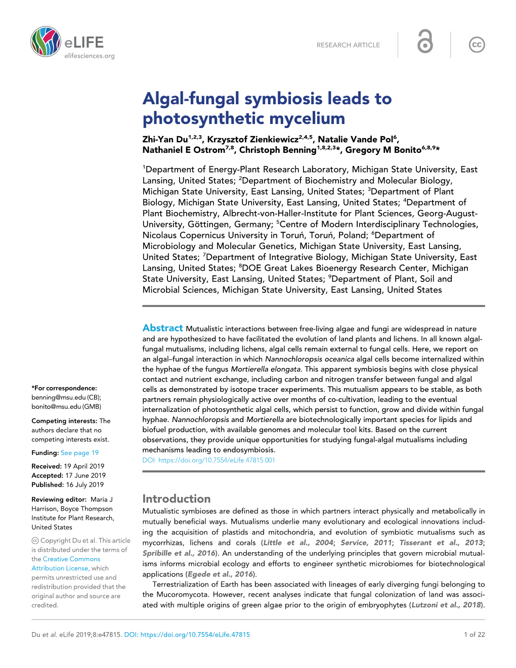 Algal-Fungal Symbiosis Leads to Photosynthetic Mycelium