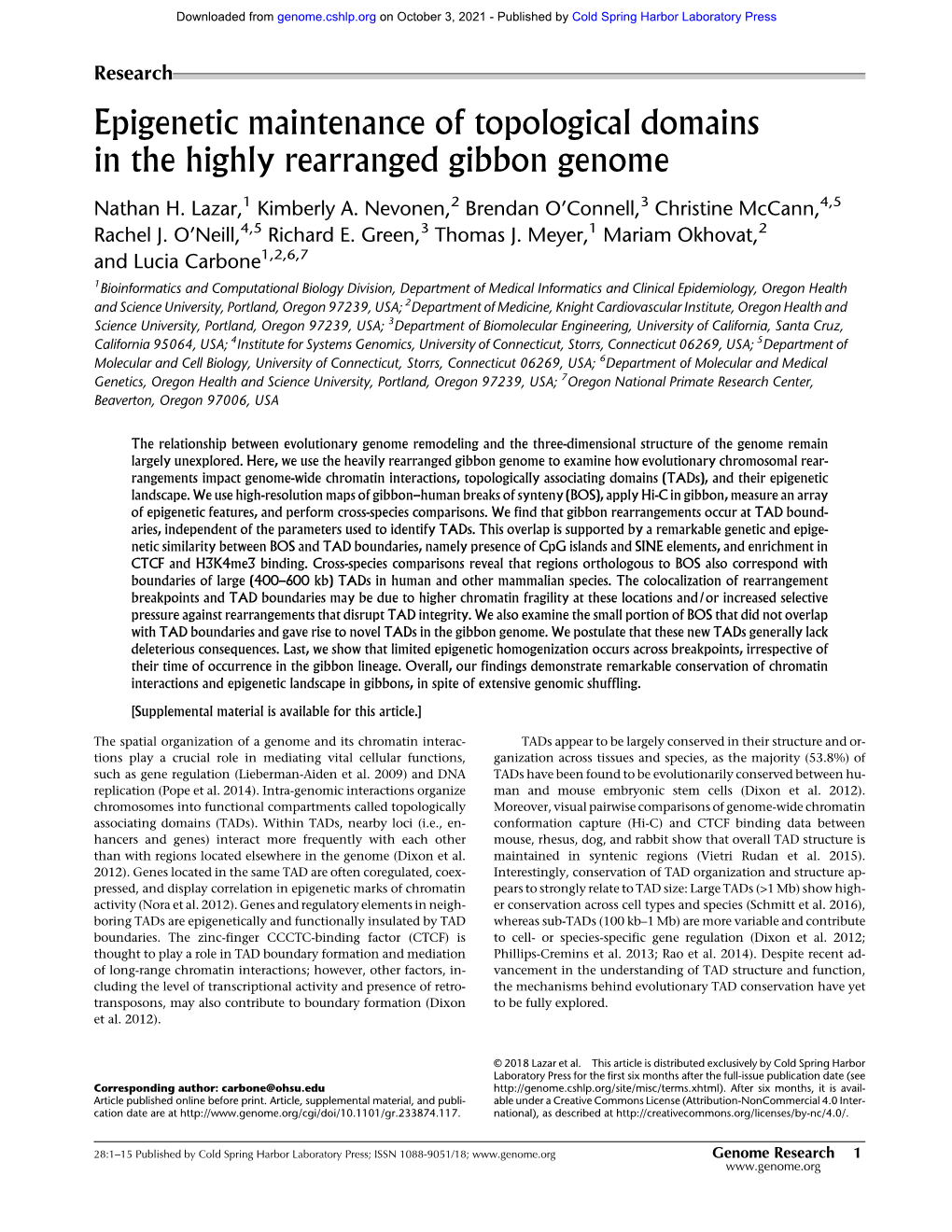 Epigenetic Maintenance of Topological Domains in the Highly Rearranged Gibbon Genome