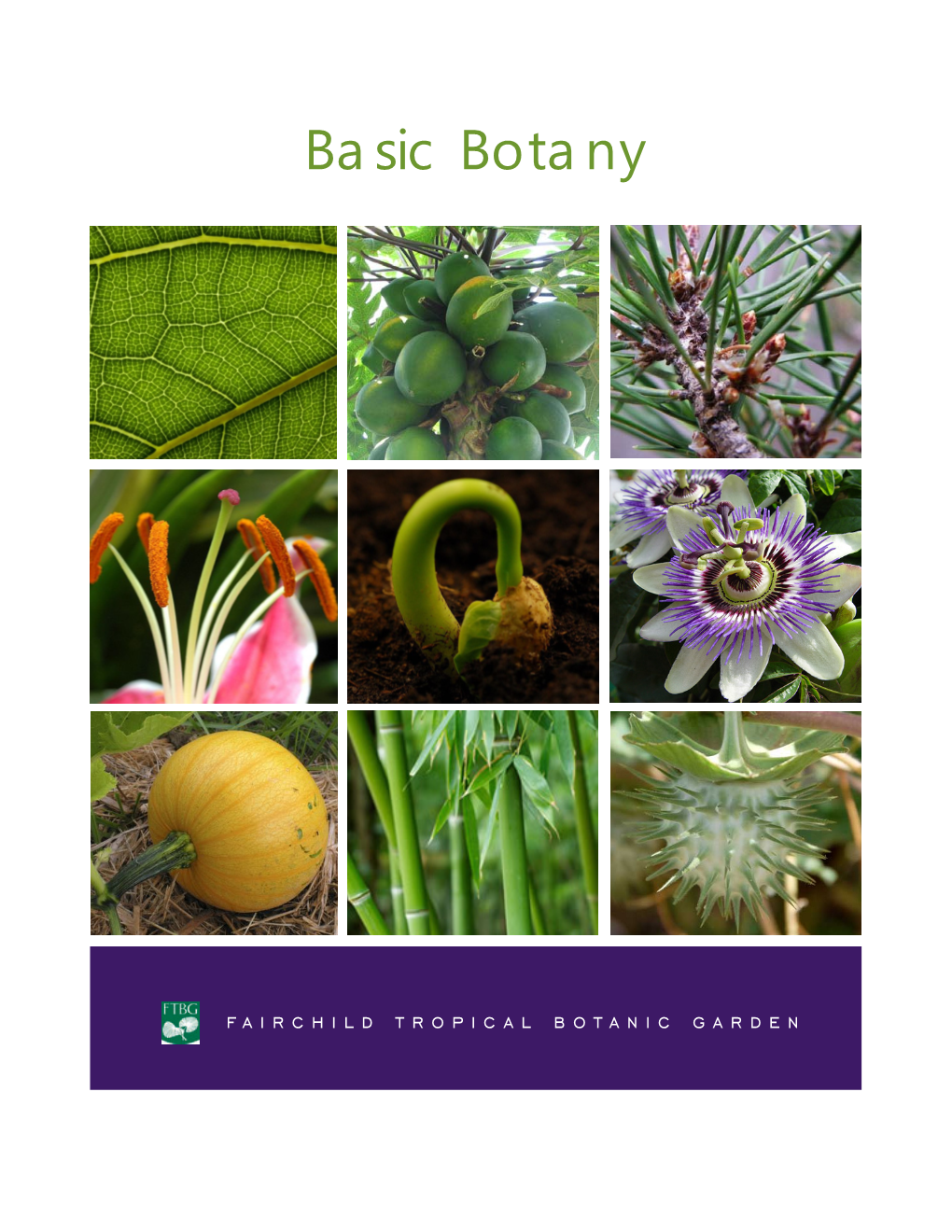 Basic Botany