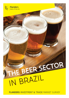 Beer Sector in Brazil