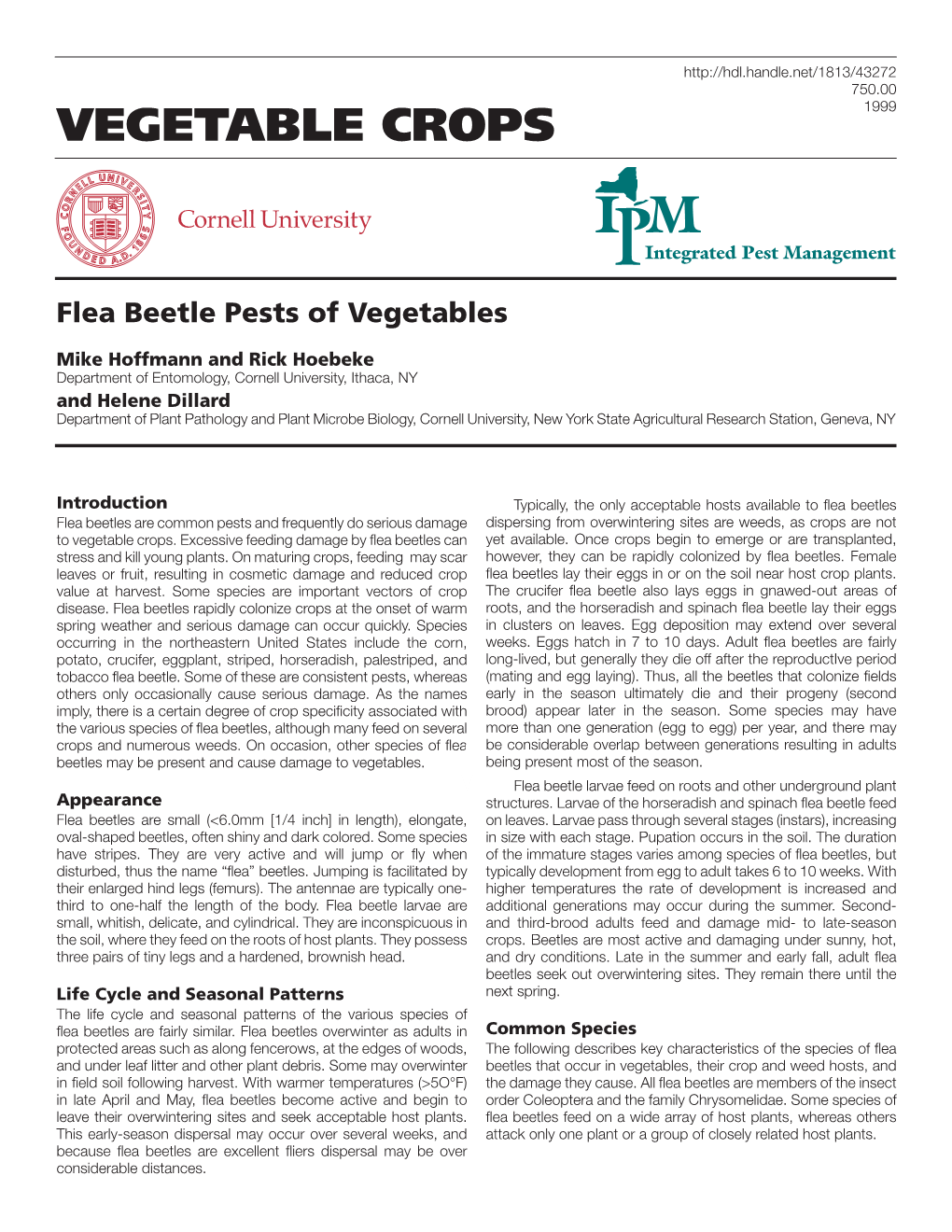 Flea Beetle Pests of Vegetables