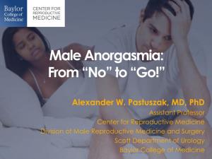 Male Anorgasmia: from “No” to “Go!”
