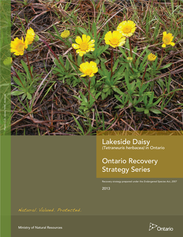 Recovery Strategy for the Lakeside Daisy (Tetraneuris Herbacea) in Ontario