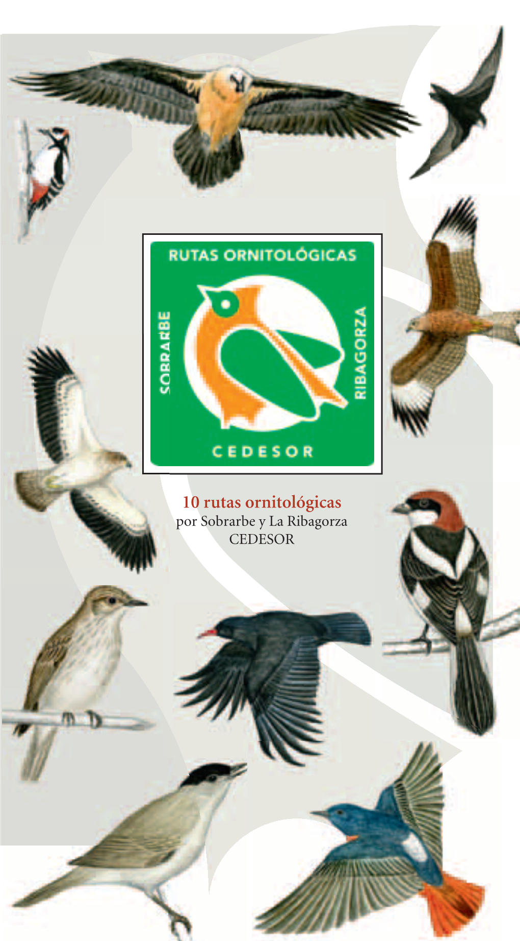 Rutas Ornitológicas Por Sobrarbe Y La Ribagorza