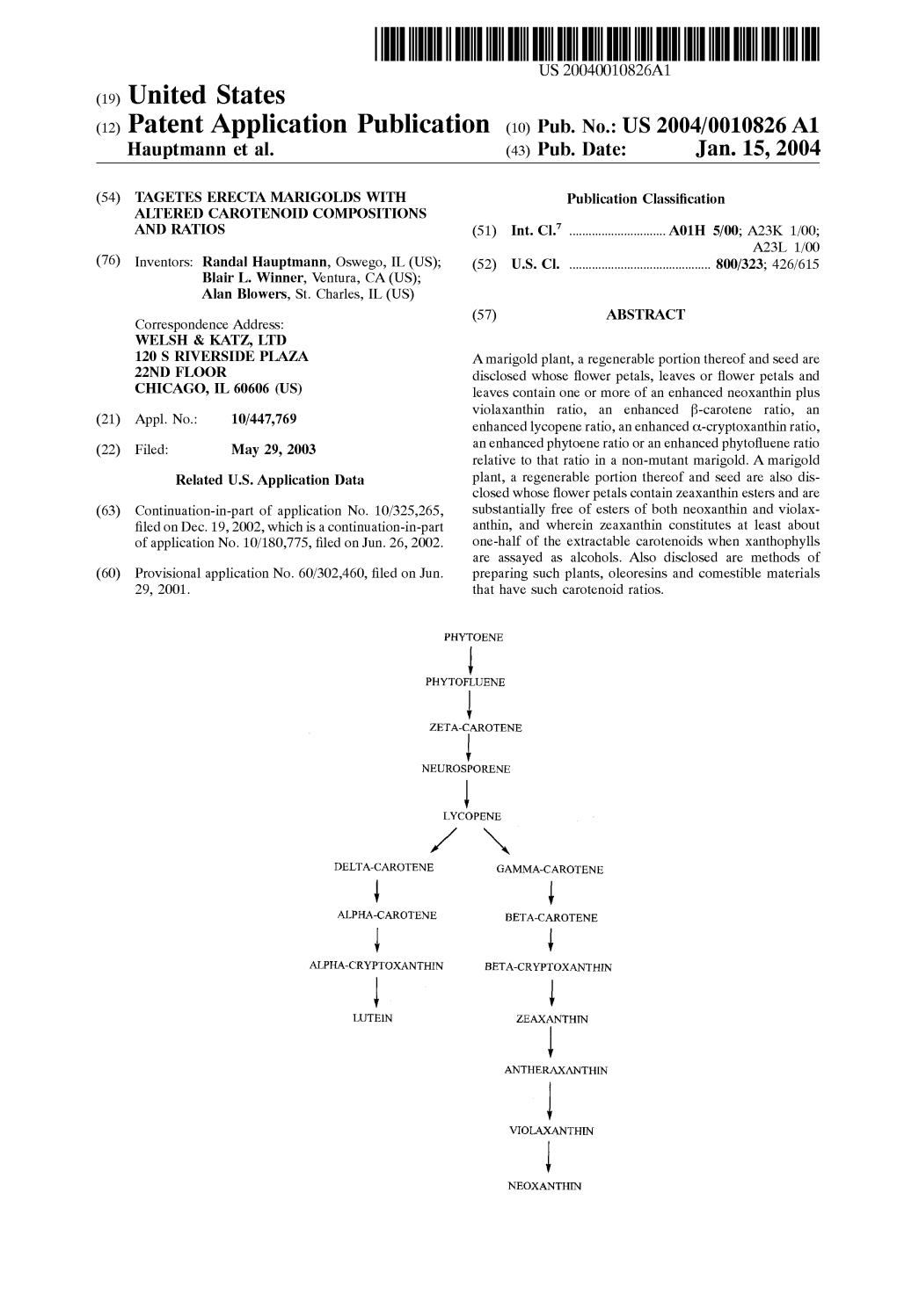 (12) Patent Application Publication (10) Pub. No.: US 2004/0010826A1 Hauptmann Et Al