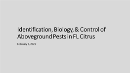 Identification, Biology, & Control of Aboveground Pests in FL Citrus