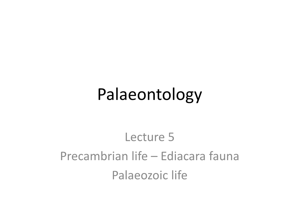 Palaeontology