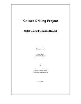 Galiuro Drilling Project