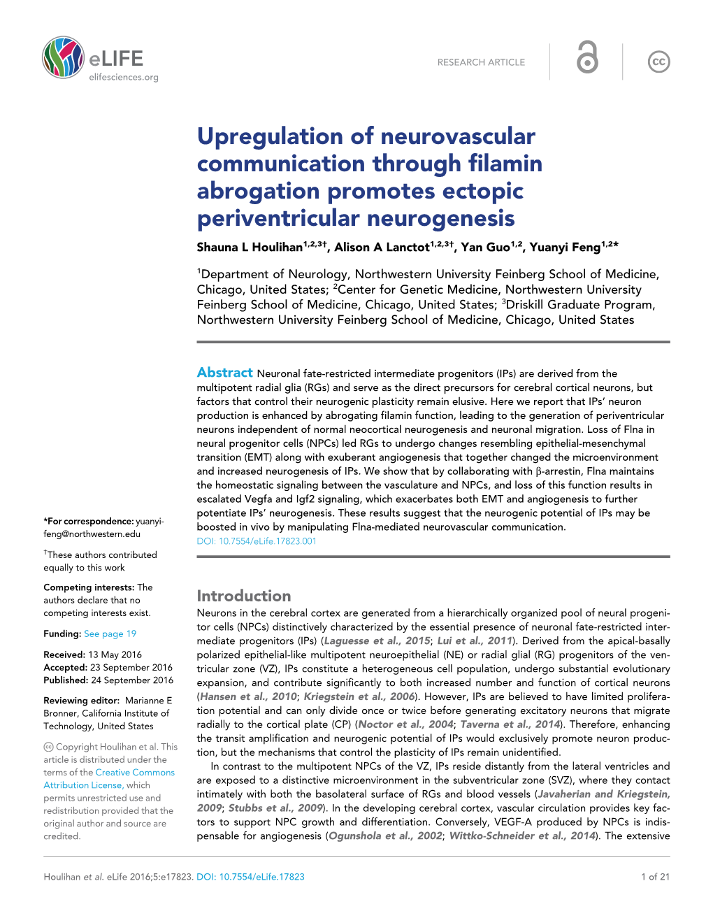 Upregulation of Neurovascular Communication Through Filamin