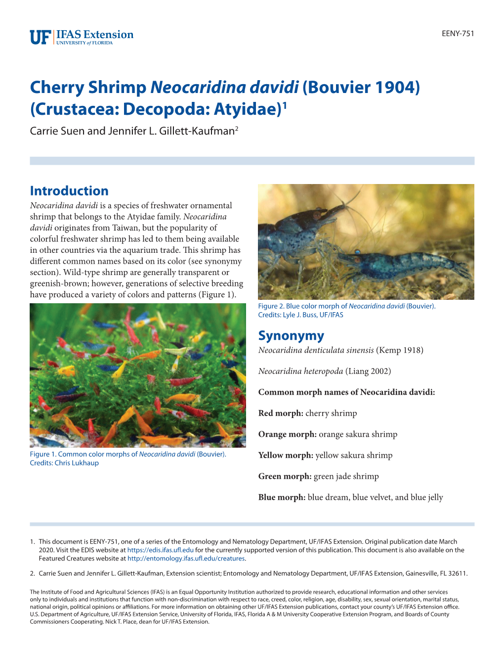 Cherry Shrimp Neocaridina Davidi (Bouvier 1904) (Crustacea: Decopoda: Atyidae)1 Carrie Suen and Jennifer L