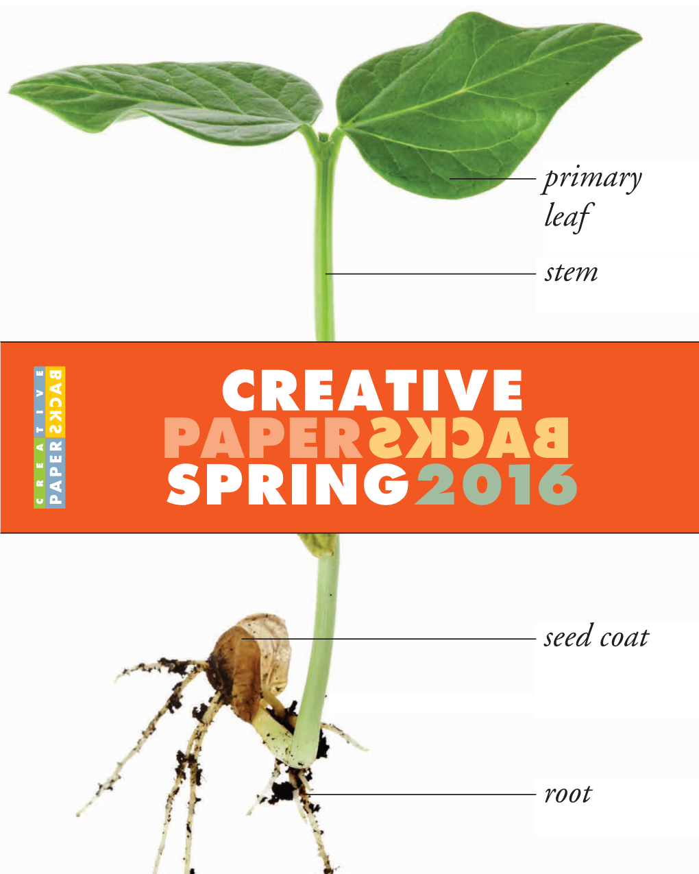 Creative Spring2016 Paper Backs