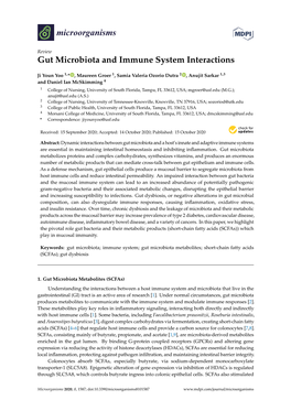 Gut Microbiota and Immune System Interactions