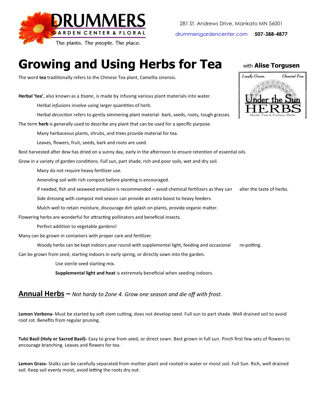 Herbs for Tea with Alise Torgusen the Word Tea Traditionally Refers to the Chinese Tea Plant, Camellia Sinensis
