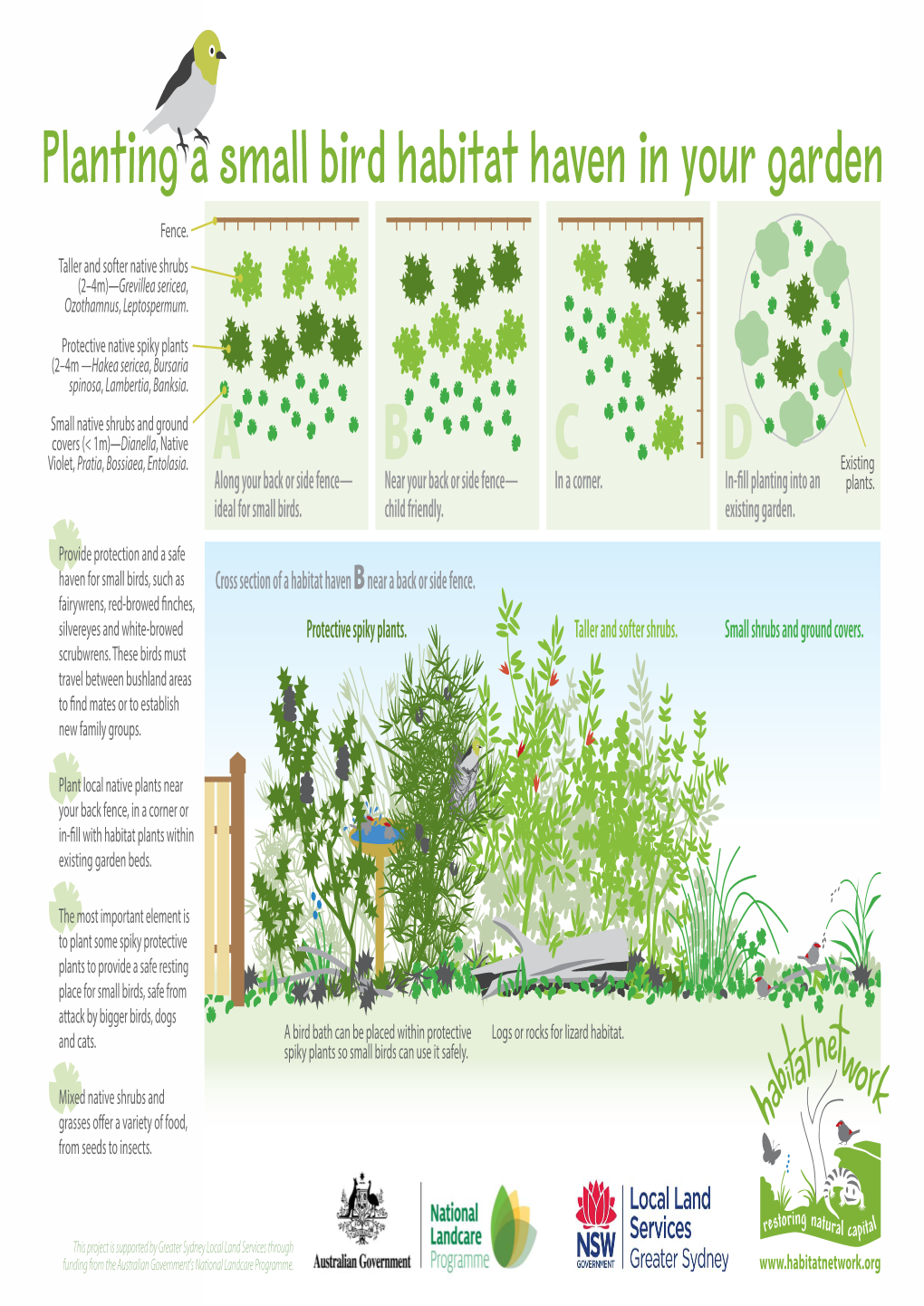 Planting a Small Bird Habitat Haven in Your Garden