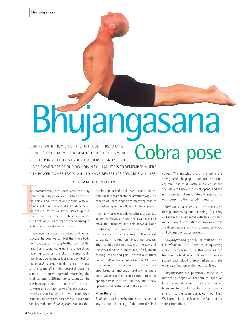 Cobra Pose INNER AWARENESS of OUR OWN DIVINITY