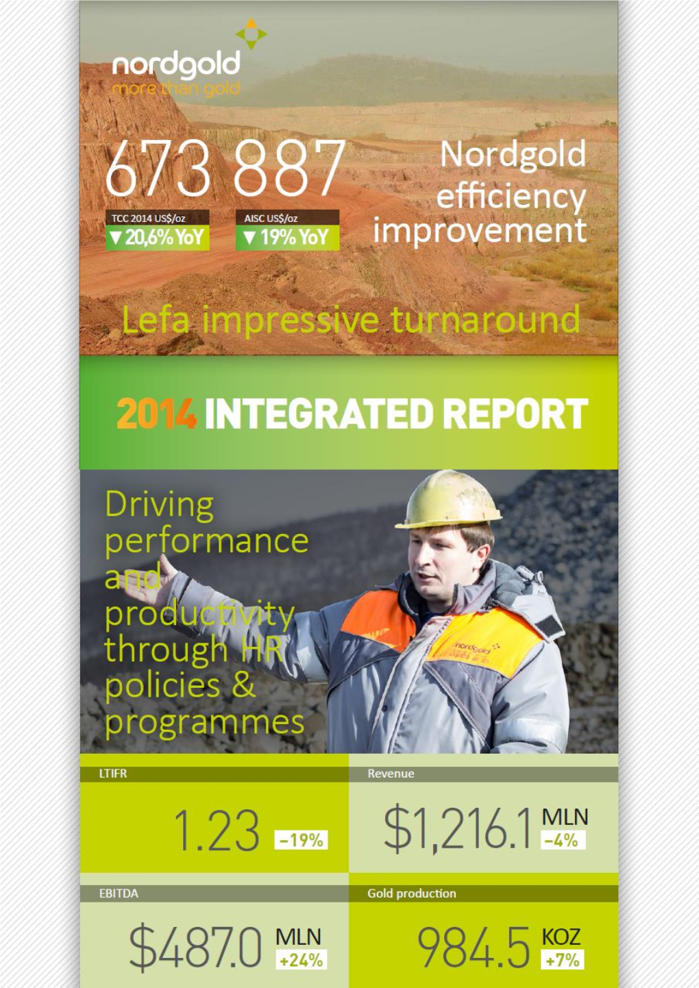 Integrated Report Was Published for the Year 2013