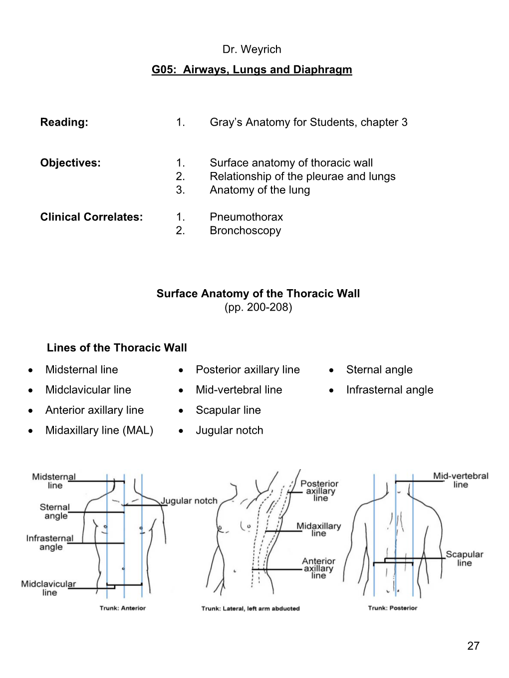 Airways, Lungs and Diaphragm Surface Anatomy of the Thoracic Wall