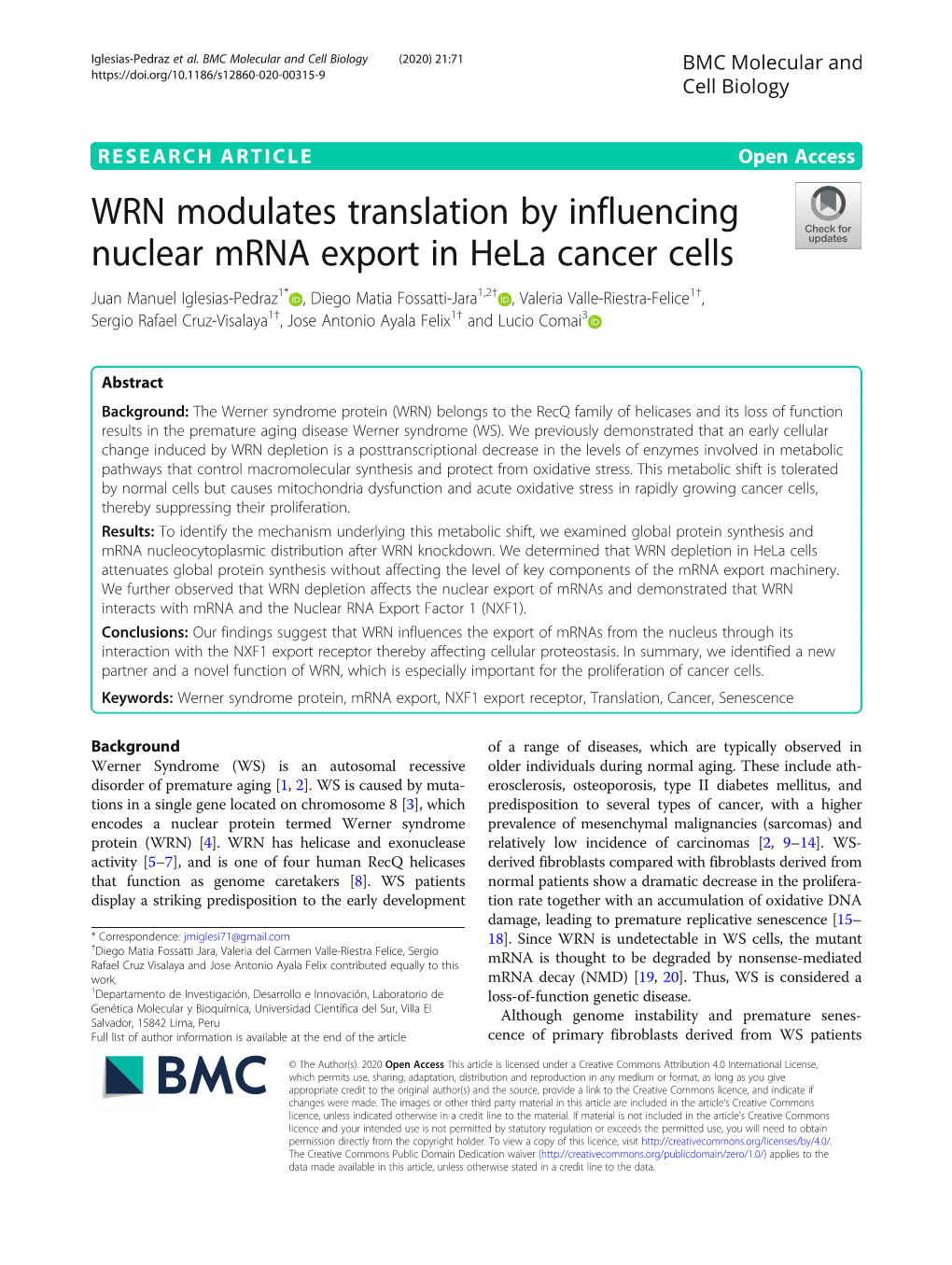 WRN Modulates Translation by Influencing Nuclear Mrna Export In