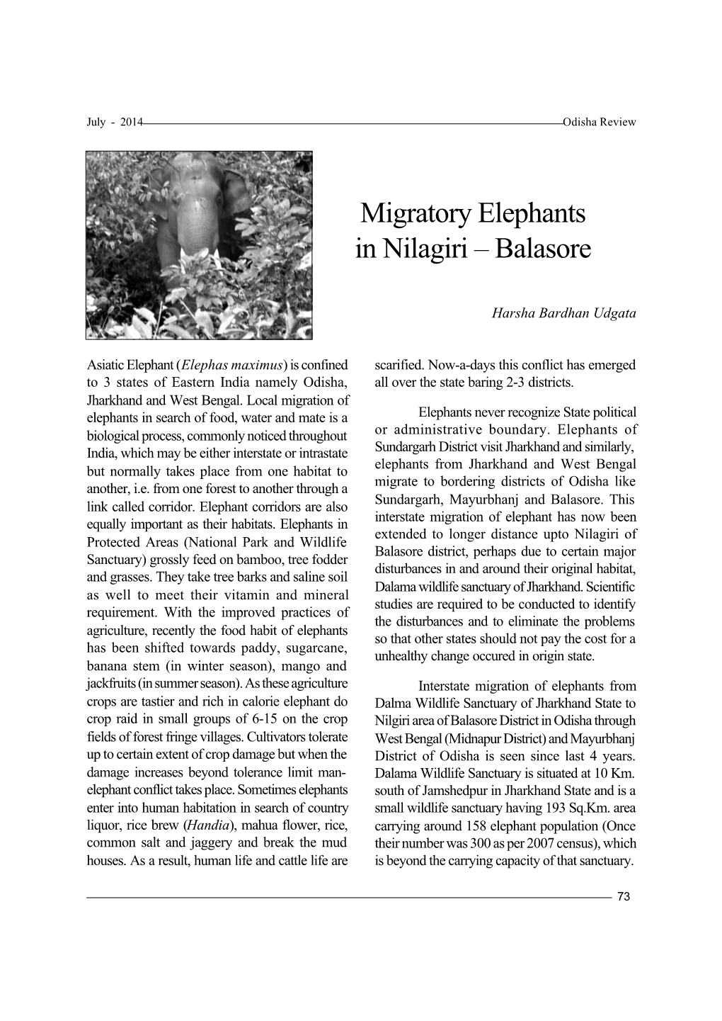 Migratory Elephants in Nilagiri – Balasore