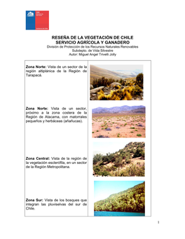 RESEÑA DE LA VEGETACIÓN DE CHILE SERVICIO AGRÍCOLA Y GANADERO División De Protección De Los Recursos Naturales Renovables Subdepto