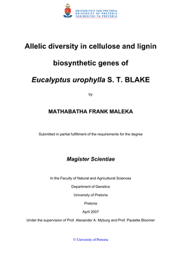 Allelic Diversity in Cellulose and Lignin Biosynthetic Genes of Eucalyptus Urophylla S. T. Blake