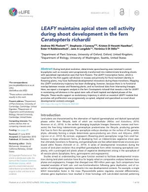LEAFY Maintains Apical Stem Cell Activity During Shoot Development In