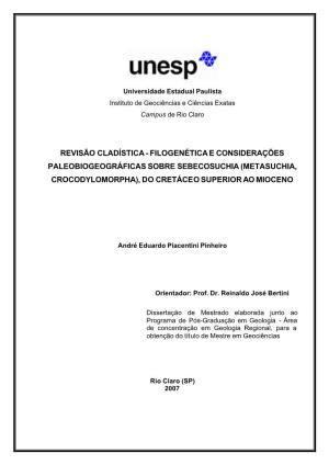 (Metasuchia, Crocodylomorpha), Do Cretáceo Superior Ao Mioceno / André Eduardo Piacentini Pinheiro