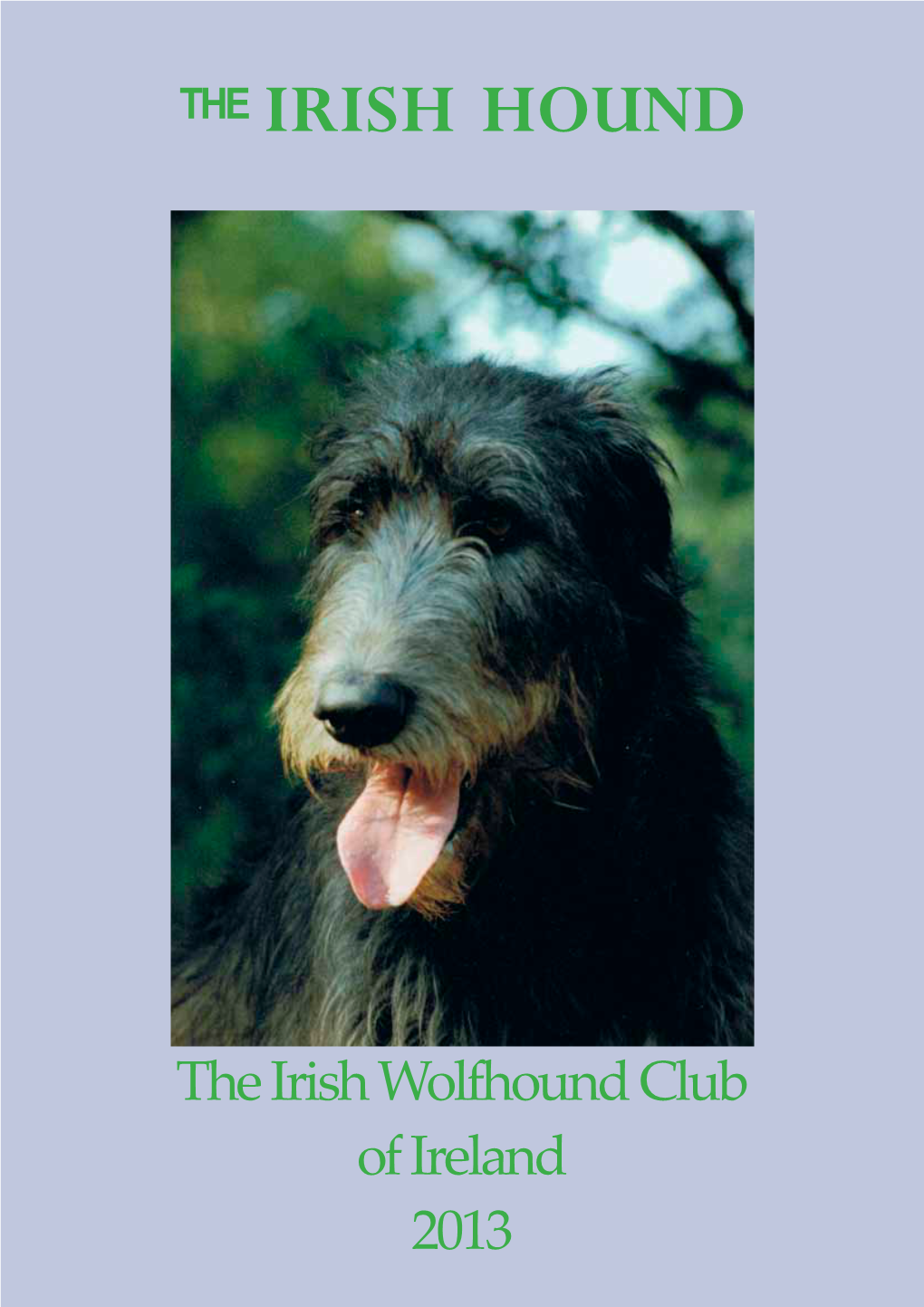 The Irish Hound