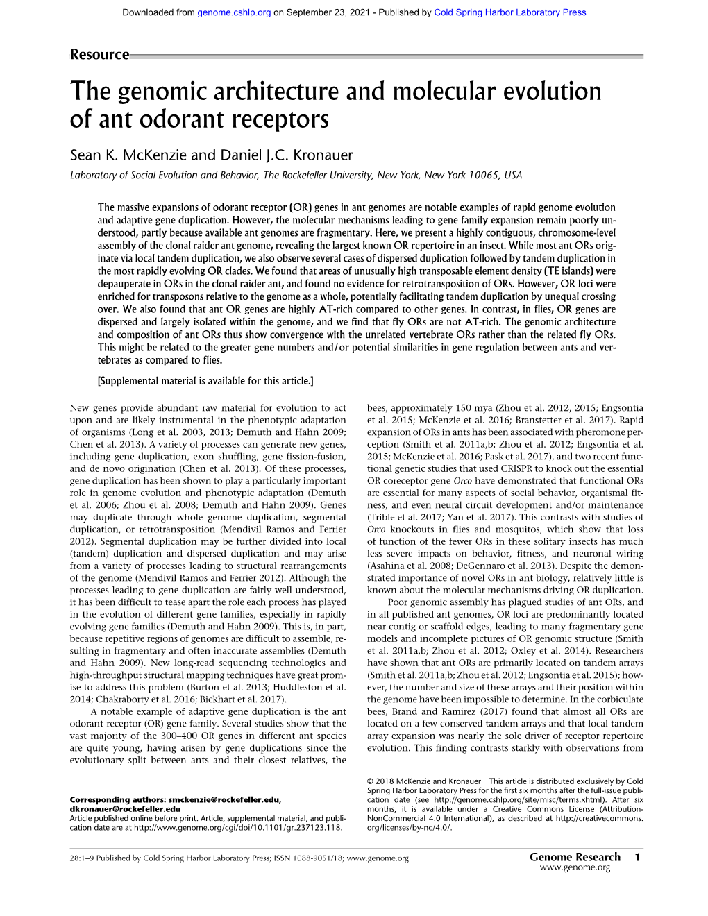 The Genomic Architecture and Molecular Evolution of Ant Odorant Receptors