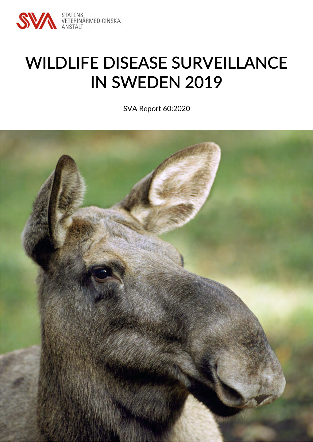 Wildlife Disease Surveillance in Sweden 2019