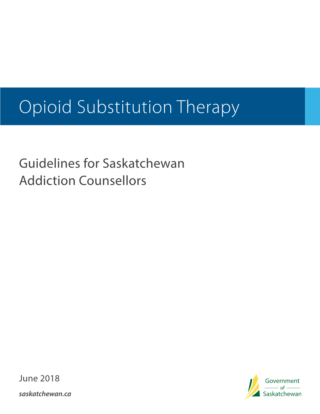 Opioid Substitution Therapy Guidelines