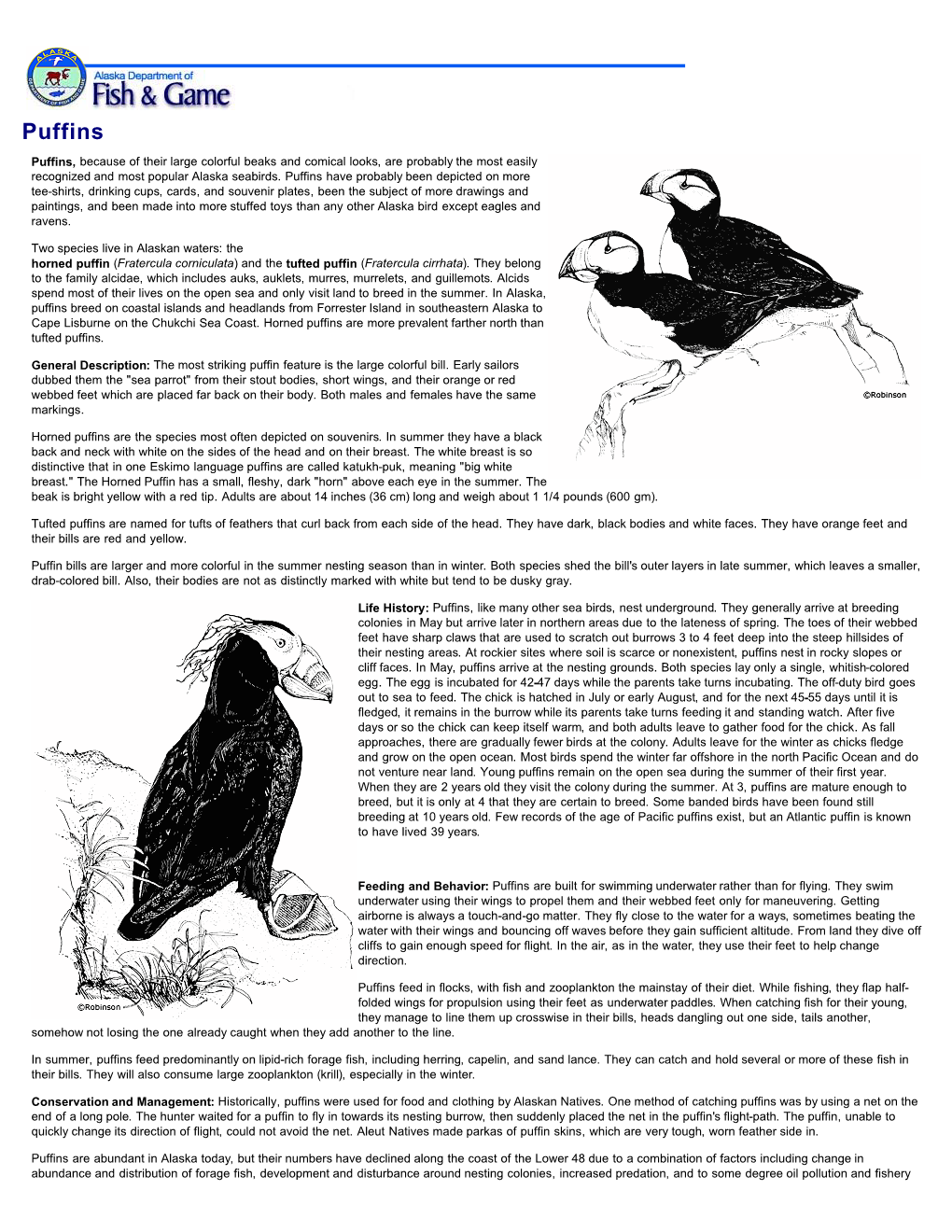 Puffins: Wildlife Notebook Series