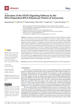 Activation of the STAT3 Signaling Pathway by the RNA-Dependent RNA Polymerase Protein of Arenavirus