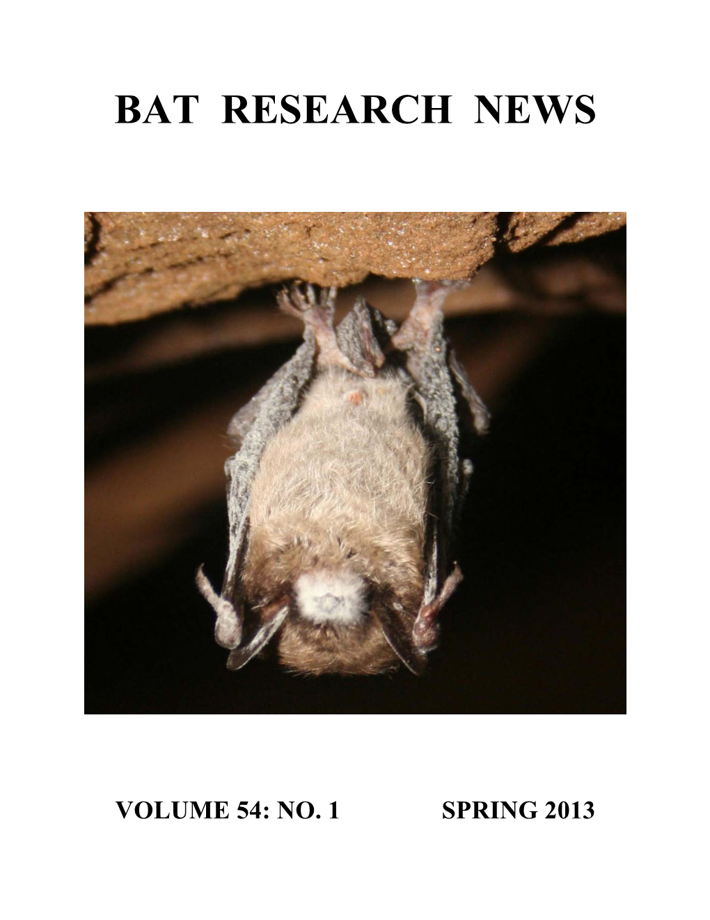 Volume 54: No. 1 Spring 2013 Bat Research News