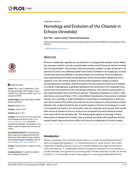 Homology and Evolution of the Chaetae in Echiura (Annelida)