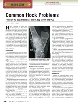 Common Hock Problems Focus on the ‘Big Three’: Bone Spavin, Bog Spavin, and OCD