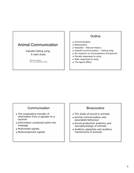 Animal Communication