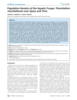 Population Genetics of the Aquatic Fungus Tetracladium Marchalianum Over Space and Time