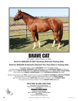 BRAVE CAT:Layout 1 11/28/12 7:42 AM Page 1