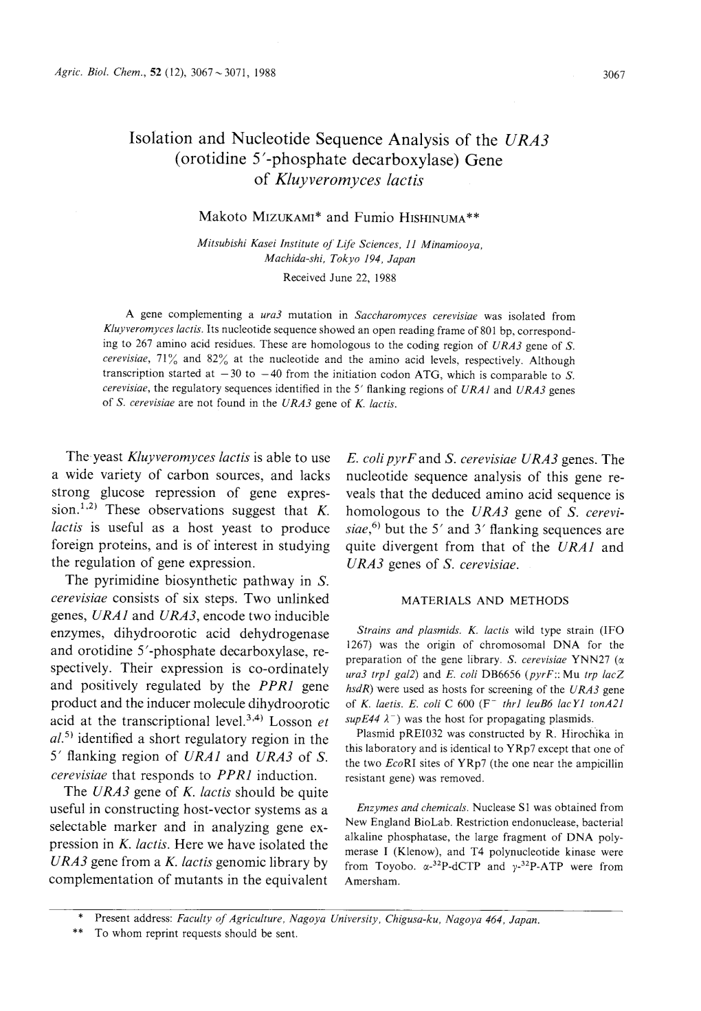 (Orotidine 5'-Phosphate Decarboxylase) Gene