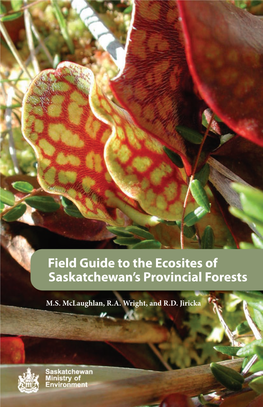 Field Guide to the Ecosites of Saskatchewan's Provincial Forests