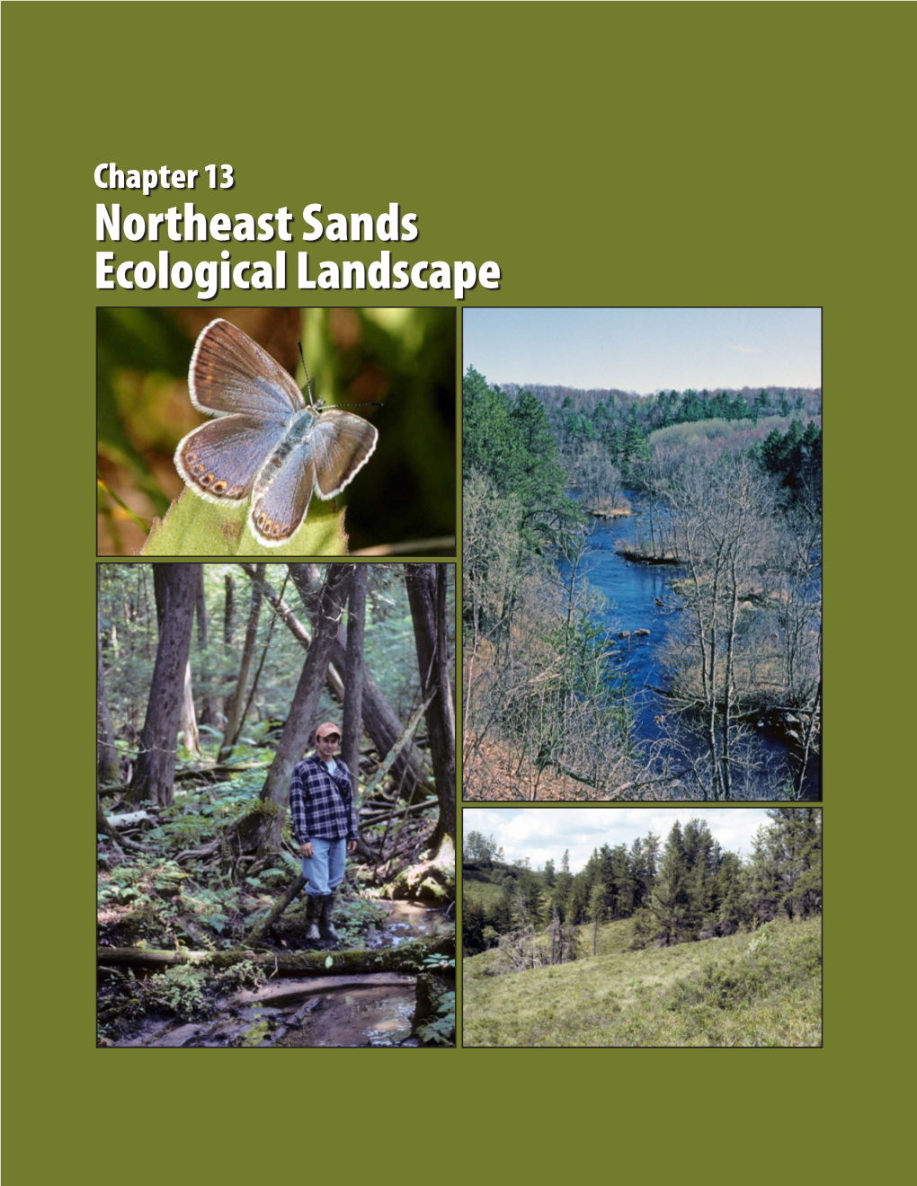 Northeast Sands Ecological Landscape