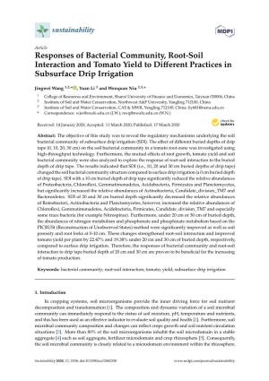 Responses of Bacterial Community, Root-Soil Interaction and Tomato Yield to Diﬀerent Practices in Subsurface Drip Irrigation