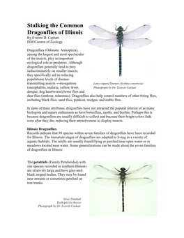 Stalking the Common Dragonflies of Illinois by Everett D