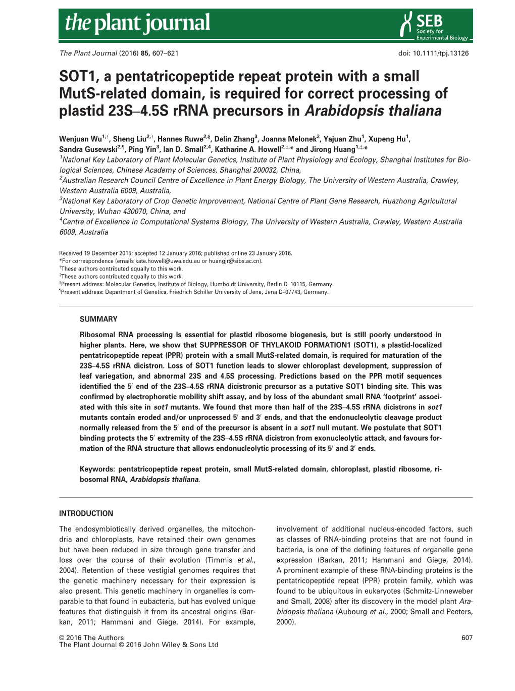 SOT1, a Pentatricopeptide Repeat Protein with a Small Muts&#X2010