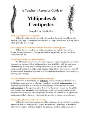 Millipedes and Centipedes? Millipedes and Centipedes Are Both Arthropods in the Subphylum Myriapoda Meaning Many Legs